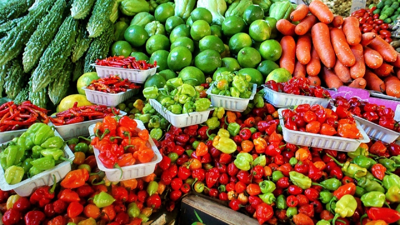 primeur-MONTAUROUX-min_farmers-market-1329008